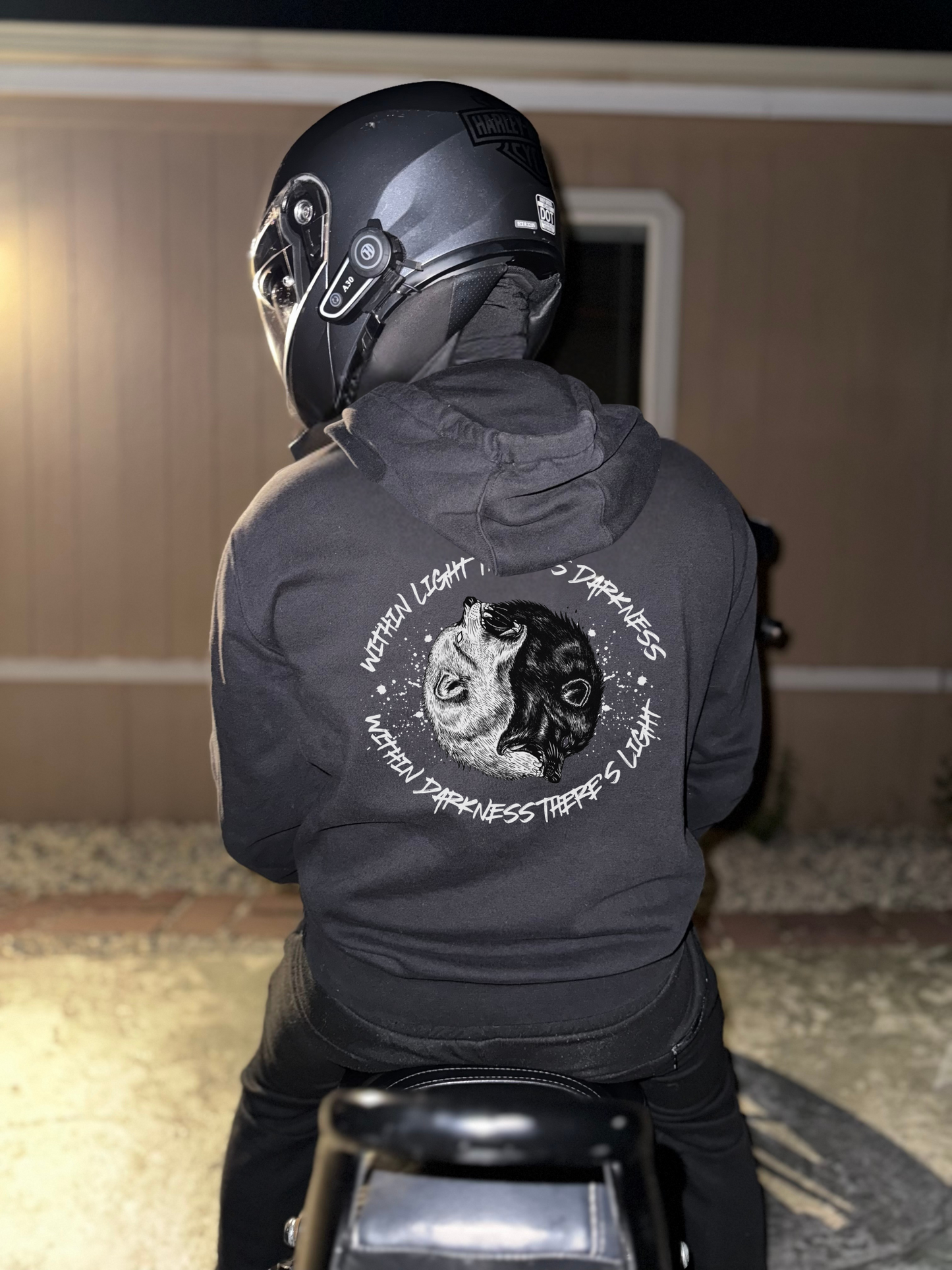 Within Light There's Darkness Hoodie - No Risk No Story Collection
